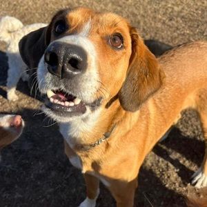 Meet your Posher, Sam